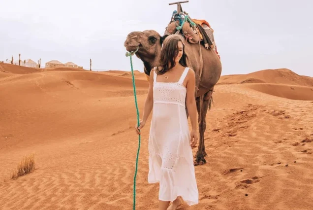 Dukhan & Zekreet Desert Tour – History, Nature & Art