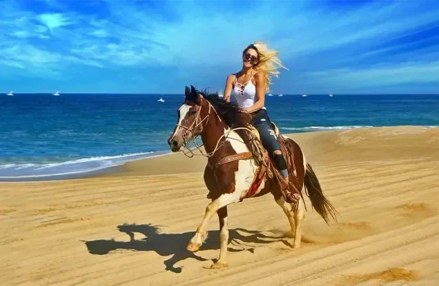 Private Desert Horse Ride