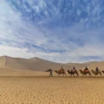 Why Desert Safari is the Most Popular Tourist Activity in Qatar