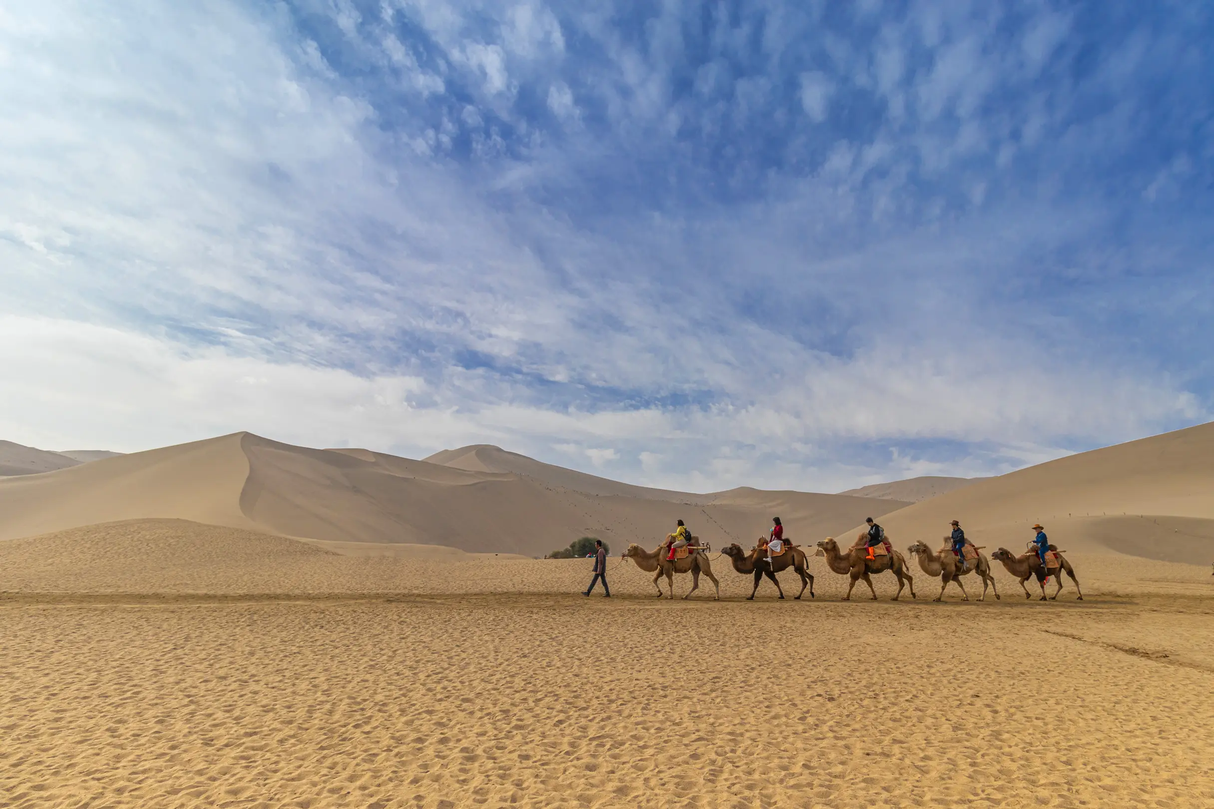 Why Desert Safari is the Most Popular Tourist Activity in Qatar