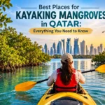 kayaking mangroves in qatar
